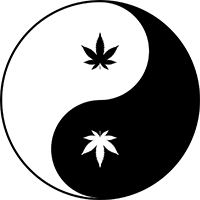 Home Page Icon